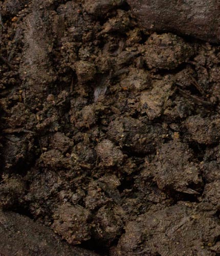 Valor Premium Topsoil (1 CY)