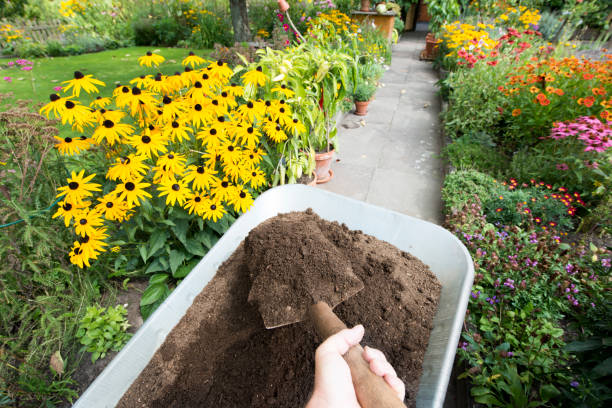 Valor Premium Topsoil (1 CY)