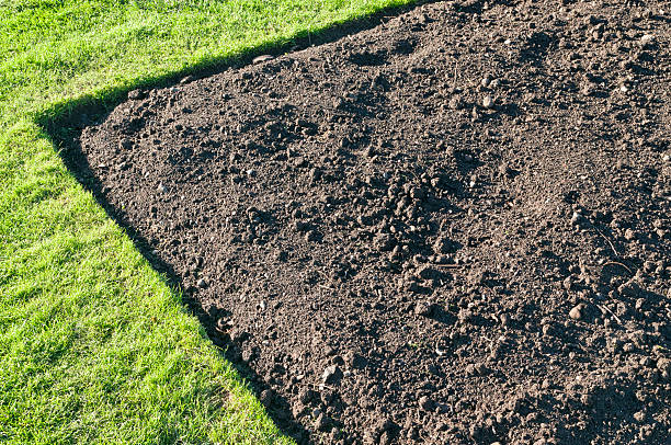 Valor Premium Topsoil (1 CY)
